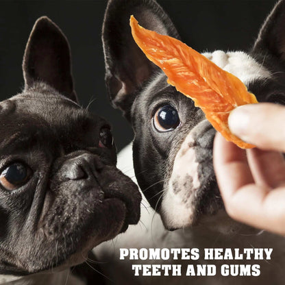 Chicken Jerky Dog Treats 1.5 Lb Human Grade Pet Snacks Grain Free Organic Meat All Natural High Protein Dried Strips Best Chews For Training Small & Large Dogs - Purrfect Pet Haven