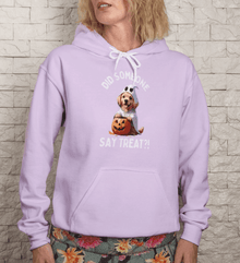Did Someone Say Treats Hoodie Sweatshirt - Funny Dog Parent Pet Lover Hoodie - Purrfect Pet Haven