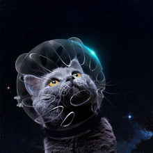 Cat Space Head Cover Muzzle Anti-bite Collar Headgear - Purrfect Pet Haven