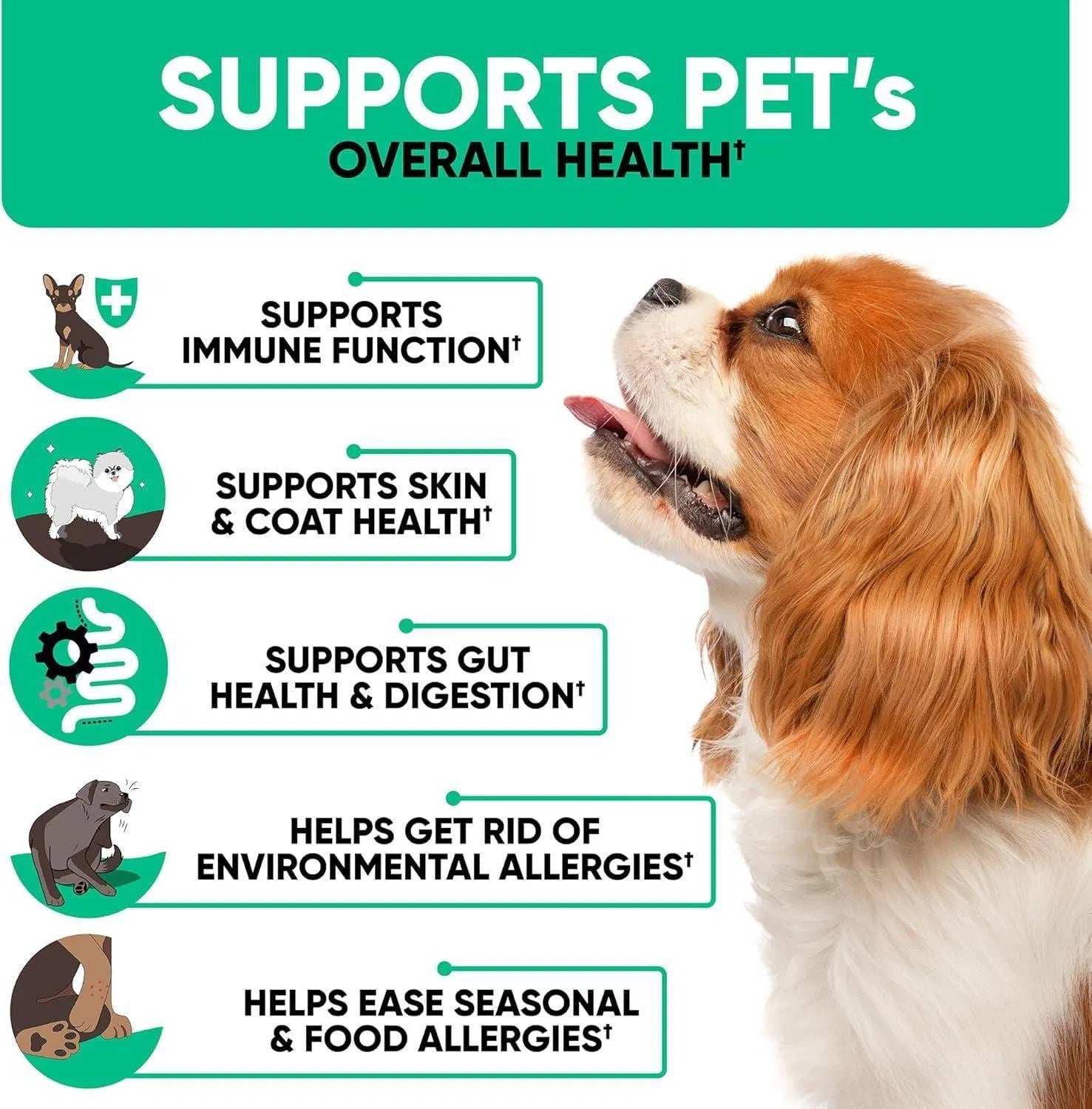Natural Dog Allergy Chews For Dog Itch Tasty Allergy Relief Pet Supplement For Dry Itchy Skin Hot Spots Seasonal Dog Allergies 180 Anti Itch Immune Treats For Dogs Licking Paws Antihistamine - Purrfect Pet Haven
