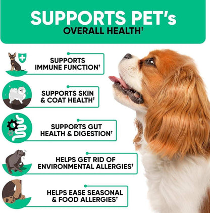 Natural Dog Allergy Chews For Dog Itch Tasty Allergy Relief Pet Supplement For Dry Itchy Skin Hot Spots Seasonal Dog Allergies 180 Anti Itch Immune Treats For Dogs Licking Paws Antihistamine - Purrfect Pet Haven