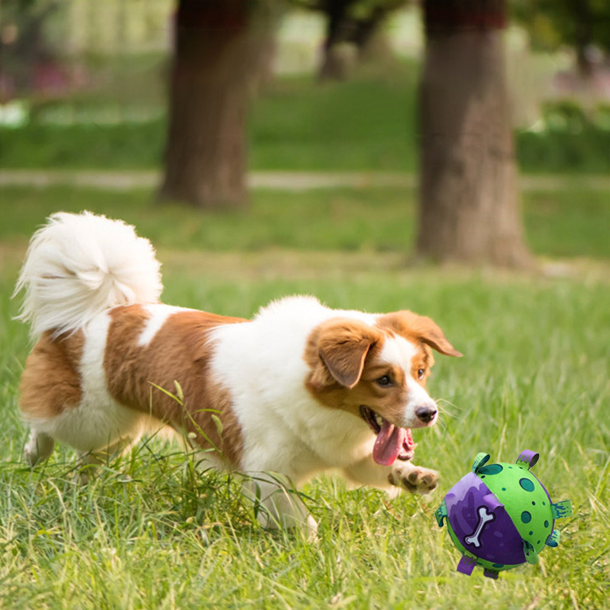 Dog Soccer Ball - Interactive Tug Toy with Straps - Purrfect Pet Haven