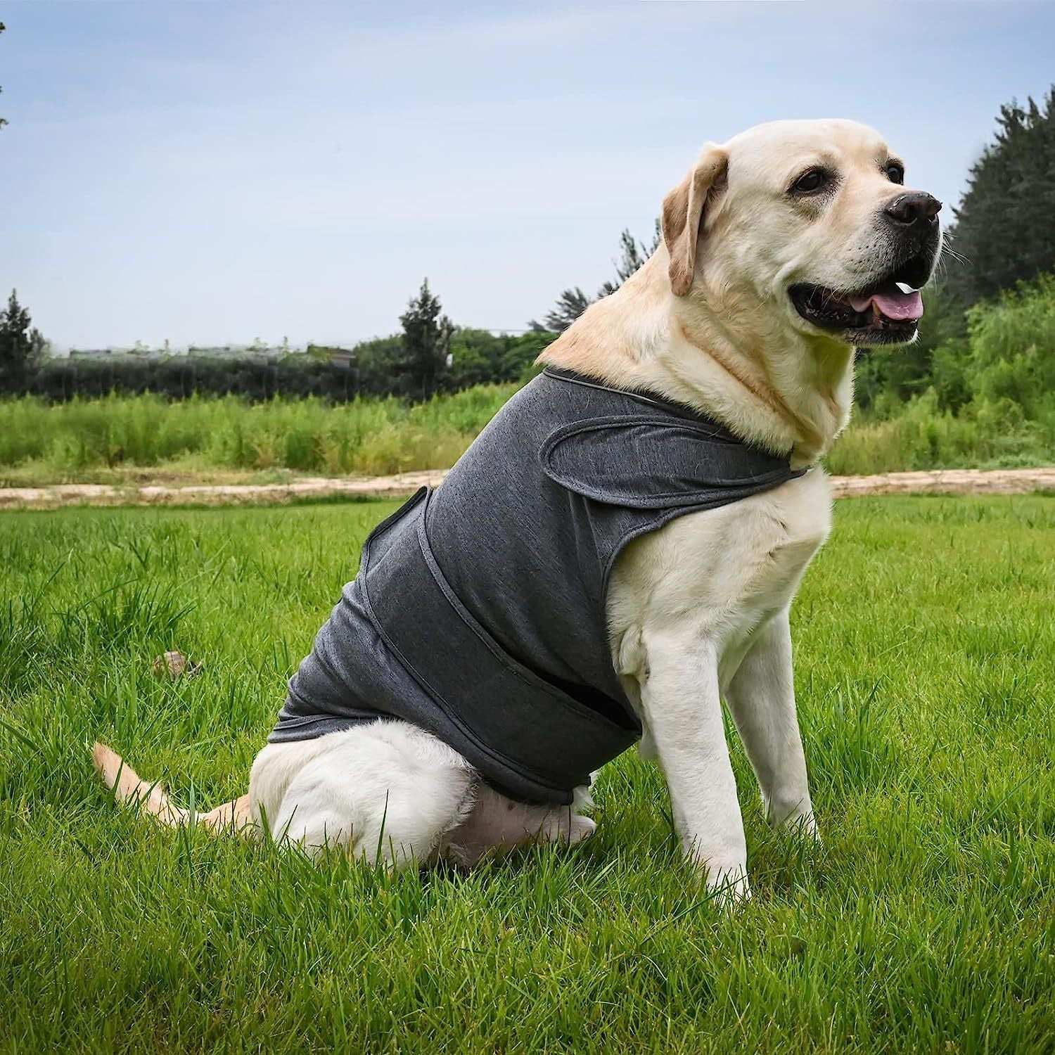 Dog Anxiety Jacket - Breathable Thunder Vest - Purrfect Pet Haven