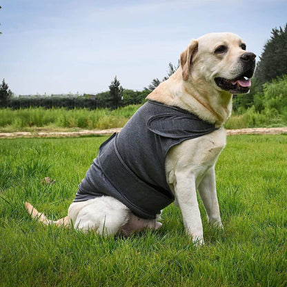 Dog Anxiety Jacket - Breathable Thunder Vest - Purrfect Pet Haven