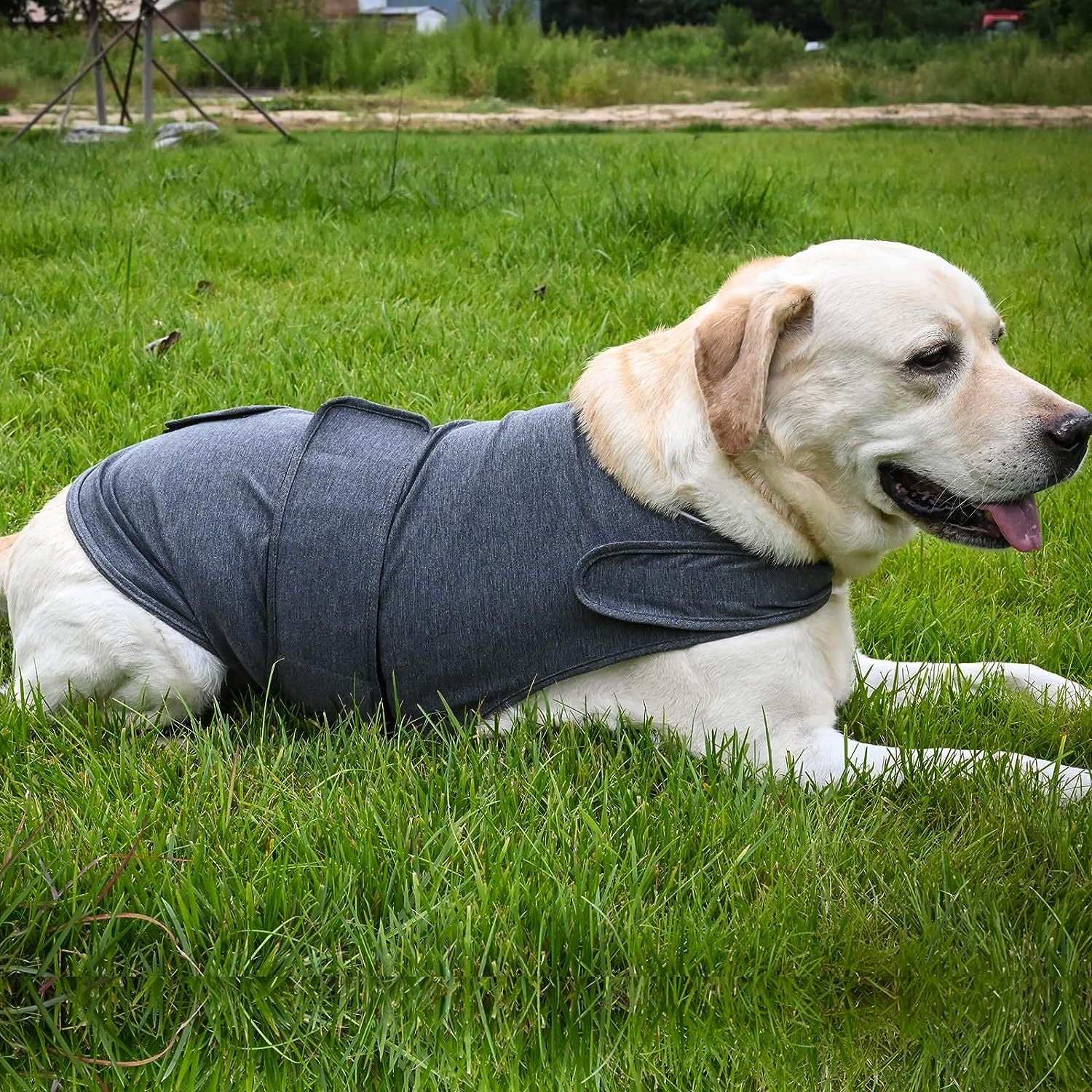 Dog Anxiety Jacket - Breathable Thunder Vest - Purrfect Pet Haven