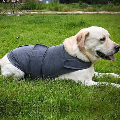 Dog Anxiety Jacket - Breathable Thunder Vest - Purrfect Pet Haven