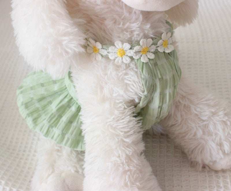 Fluffy white teddy bear wearing a green dress with flower decorations on a soft surface.