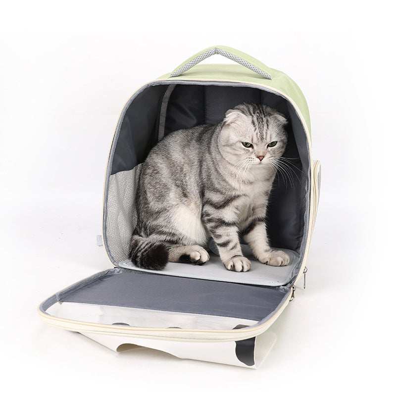 Cat sitting inside a backpack on a white background
