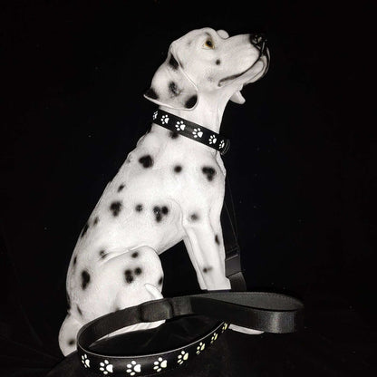 LED Dog Collar - 7 Color Luminous Paw Print USB Rechargeable - Purrfect Pet Haven