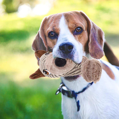 Large Plush Stuffed Animal Interactive Squeaky Dog Chew Toy - Purrfect Pet Haven