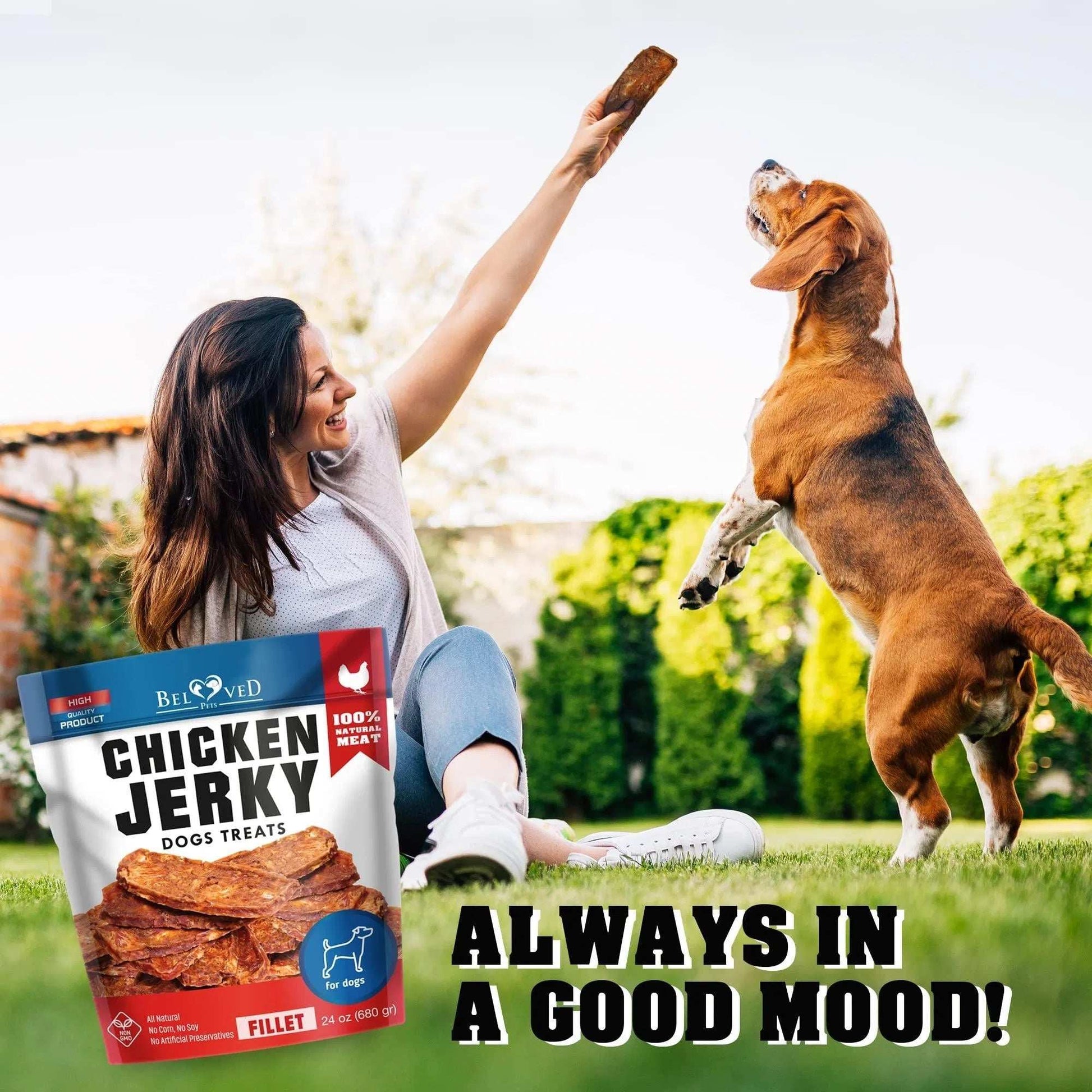 Chicken Jerky Dog Treats 1.5 Lb Human Grade Pet Snacks Grain Free Organic Meat All Natural High Protein Dried Strips Best Chews For Training Small & Large Dogs - Purrfect Pet Haven