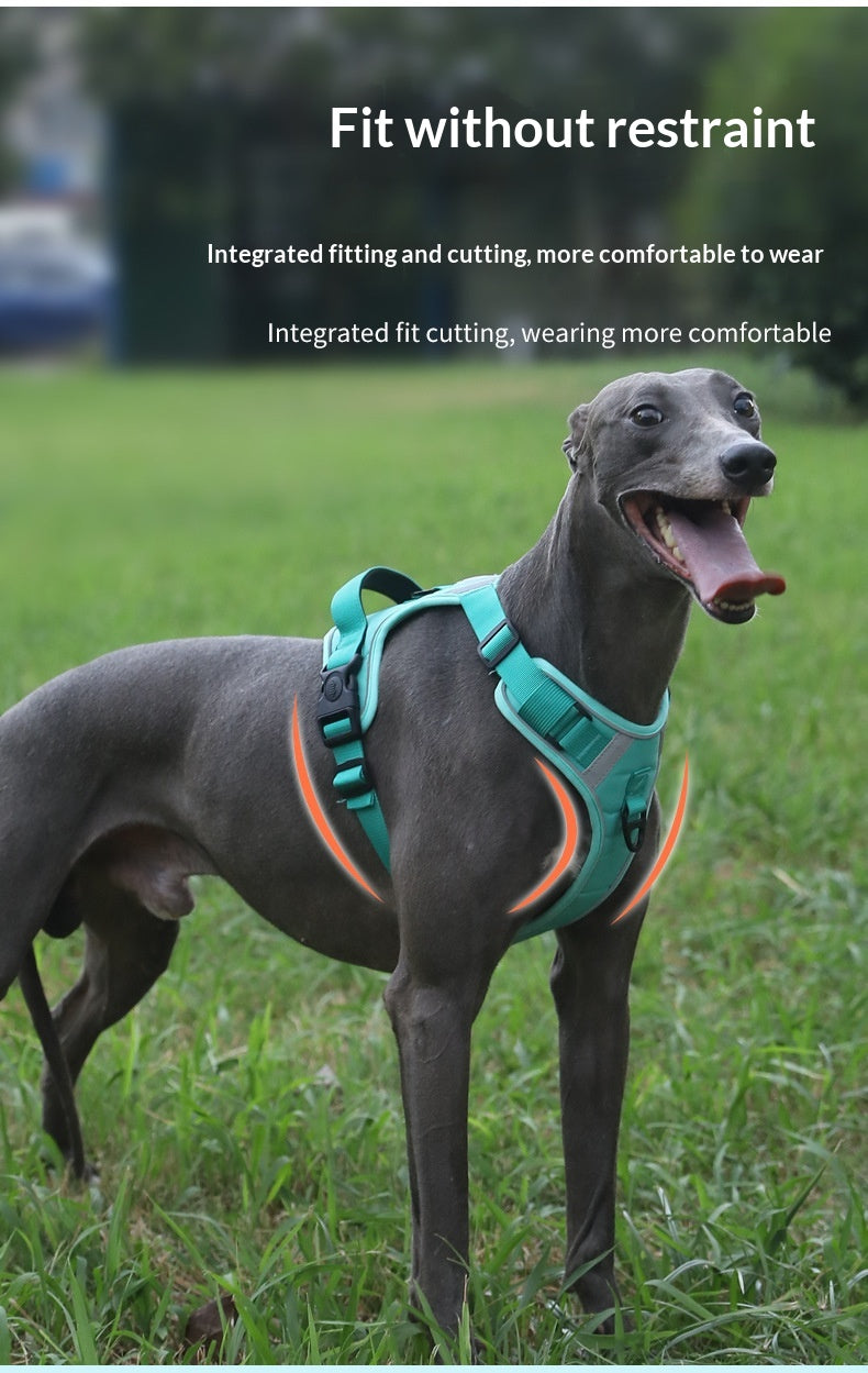 Dog Harness - Large Chest Style with Leash - Purrfect Pet Haven