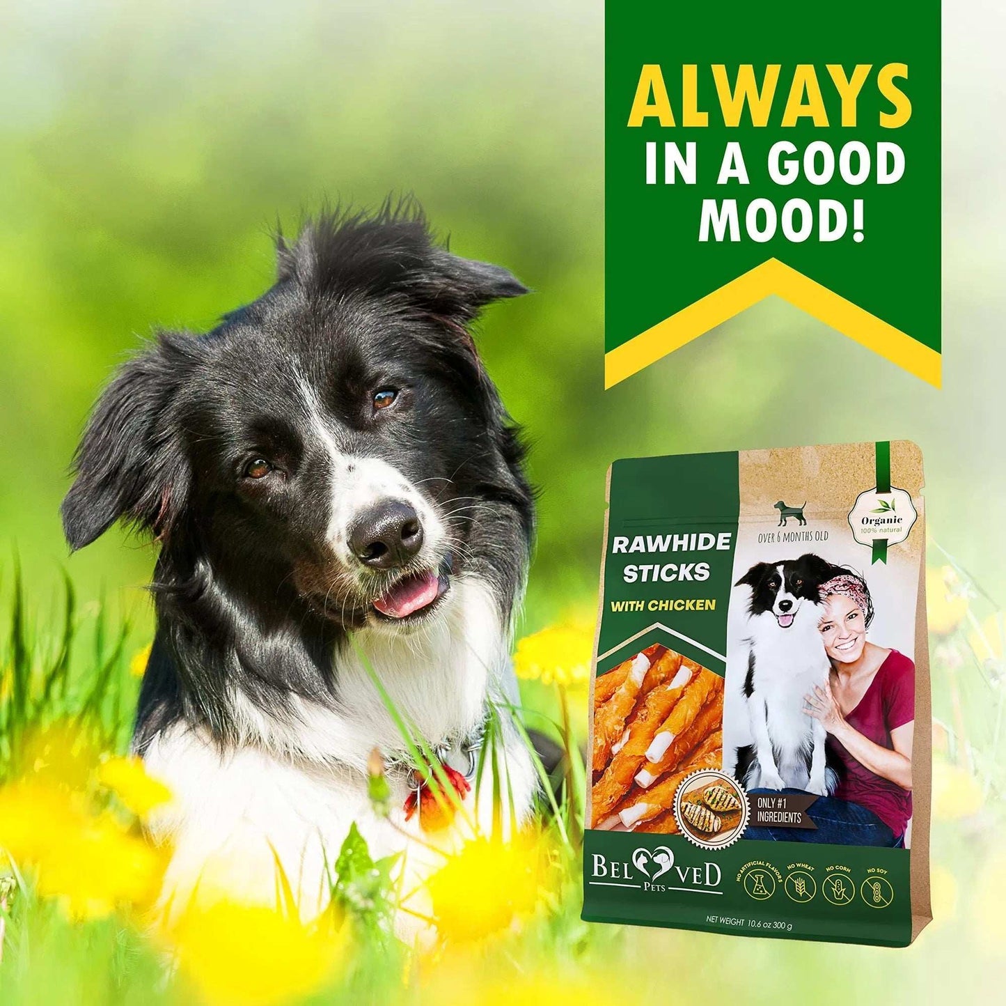 Dog Sticks Wrapped With Chicken & Pet Natural Chew Treats Grain Free Organic Meat & Human Grade Dried Snacks In Bulk For Training Small & Large Dogs - Purrfect Pet Haven