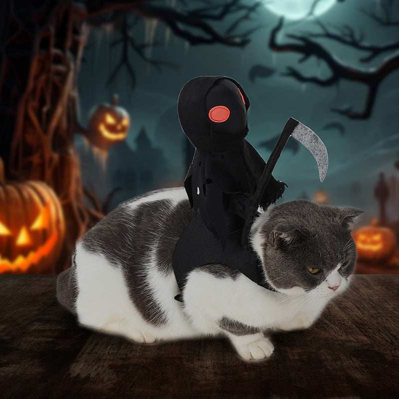 Harvest Knight Riding Outfit - Funny Cute Pet Costume - Purrfect Pet Haven