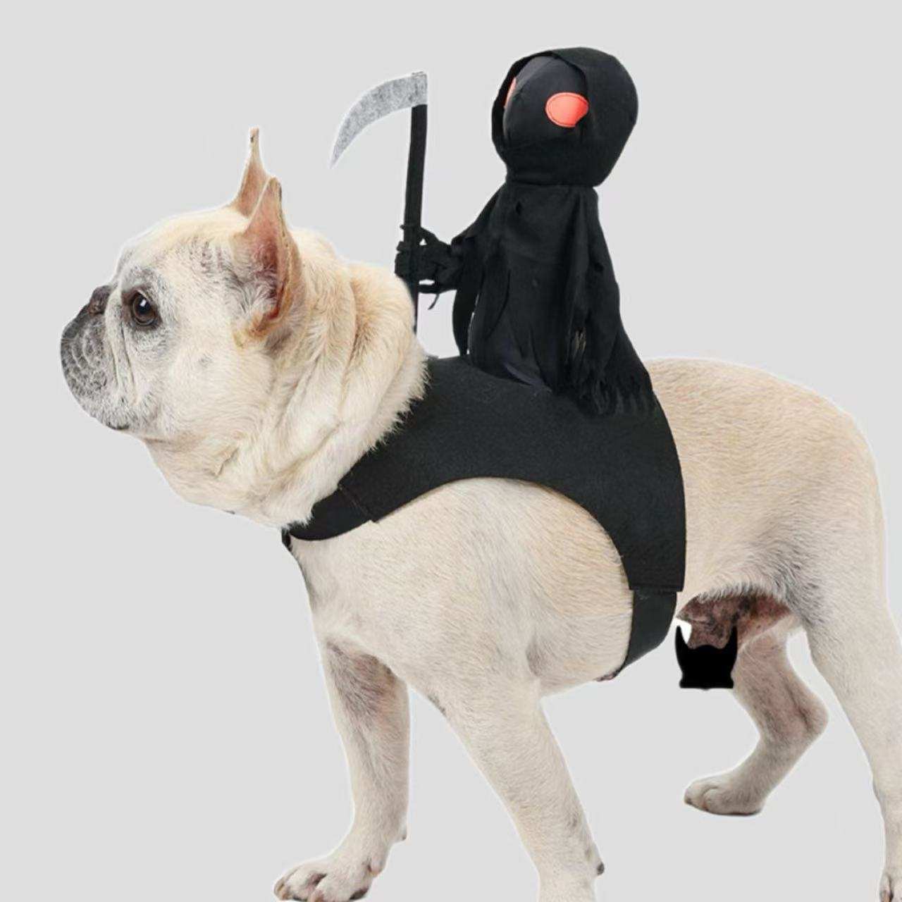 Harvest Knight Riding Outfit - Funny Cute Pet Costume - Purrfect Pet Haven