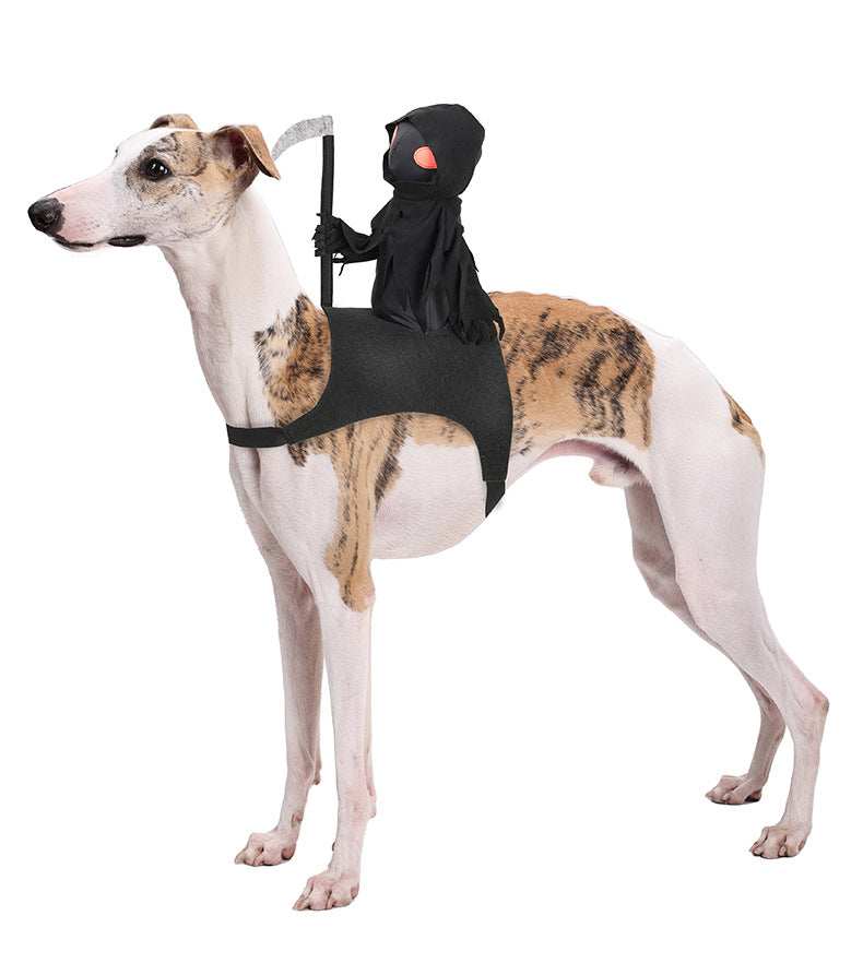 Harvest Knight Riding Outfit - Funny Cute Pet Costume - Purrfect Pet Haven
