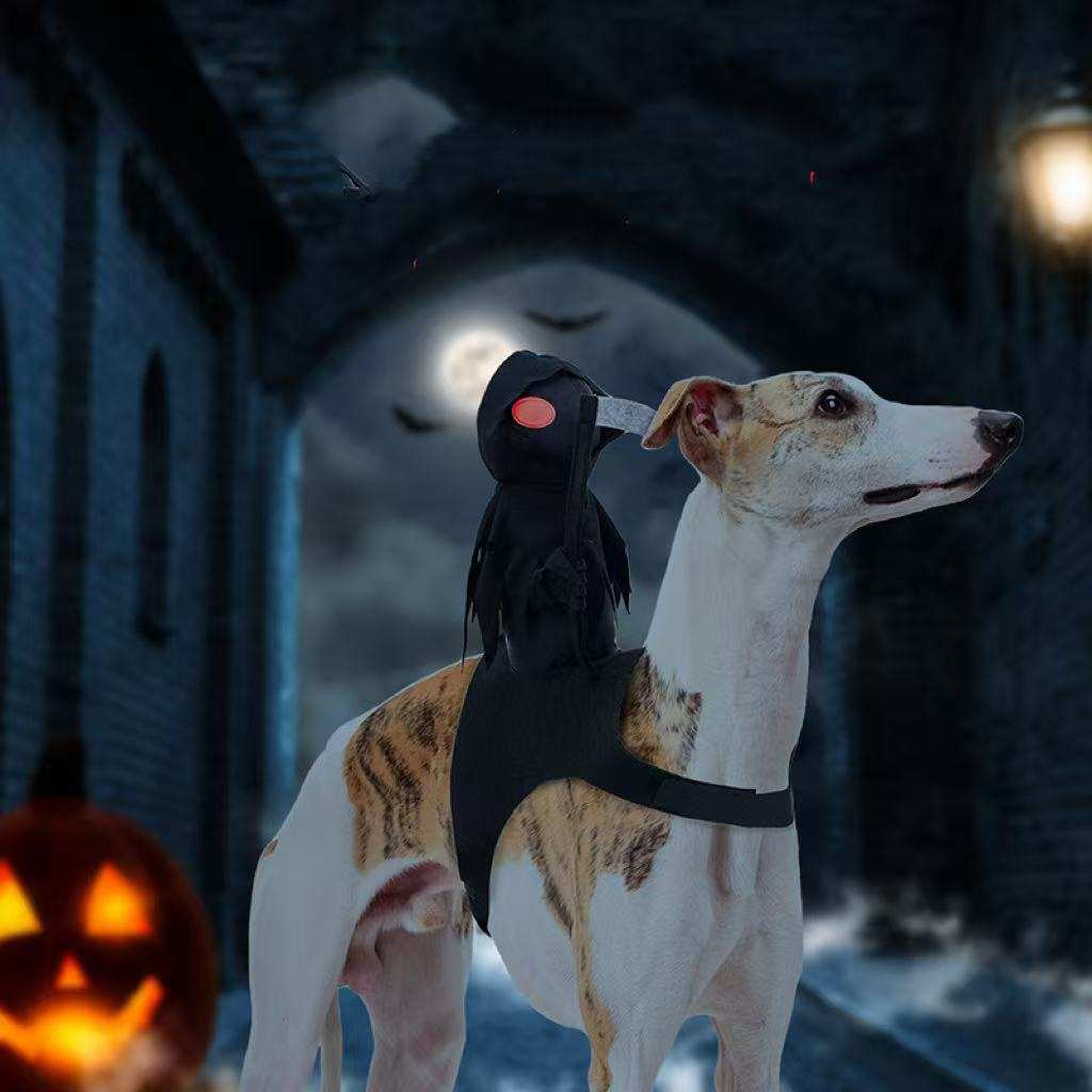 Harvest Knight Riding Outfit - Funny Cute Pet Costume - Purrfect Pet Haven