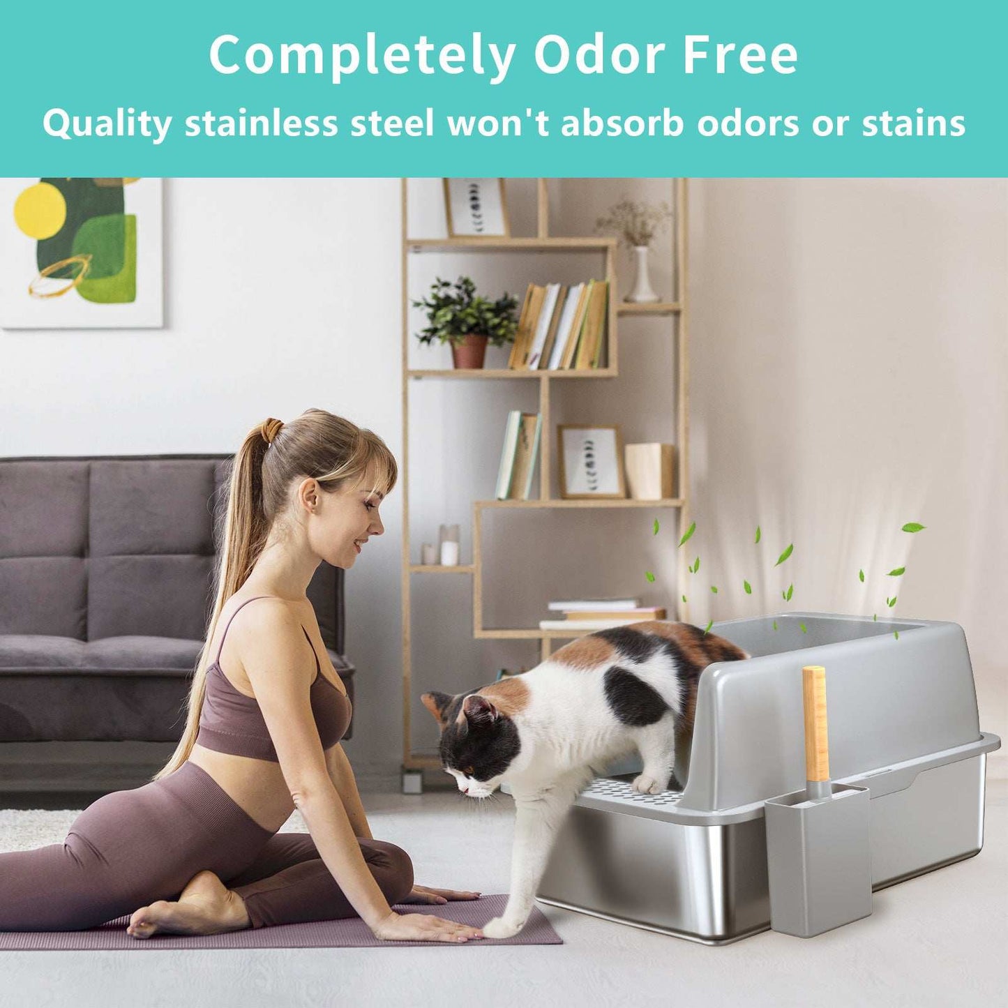 Wefulfil pet supplies large 6 inch bottom basin stainless steel odor free cat litter box