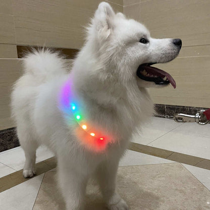 Adjustable Night Use LED Lighted Dog Collar - Purrfect Pet Haven