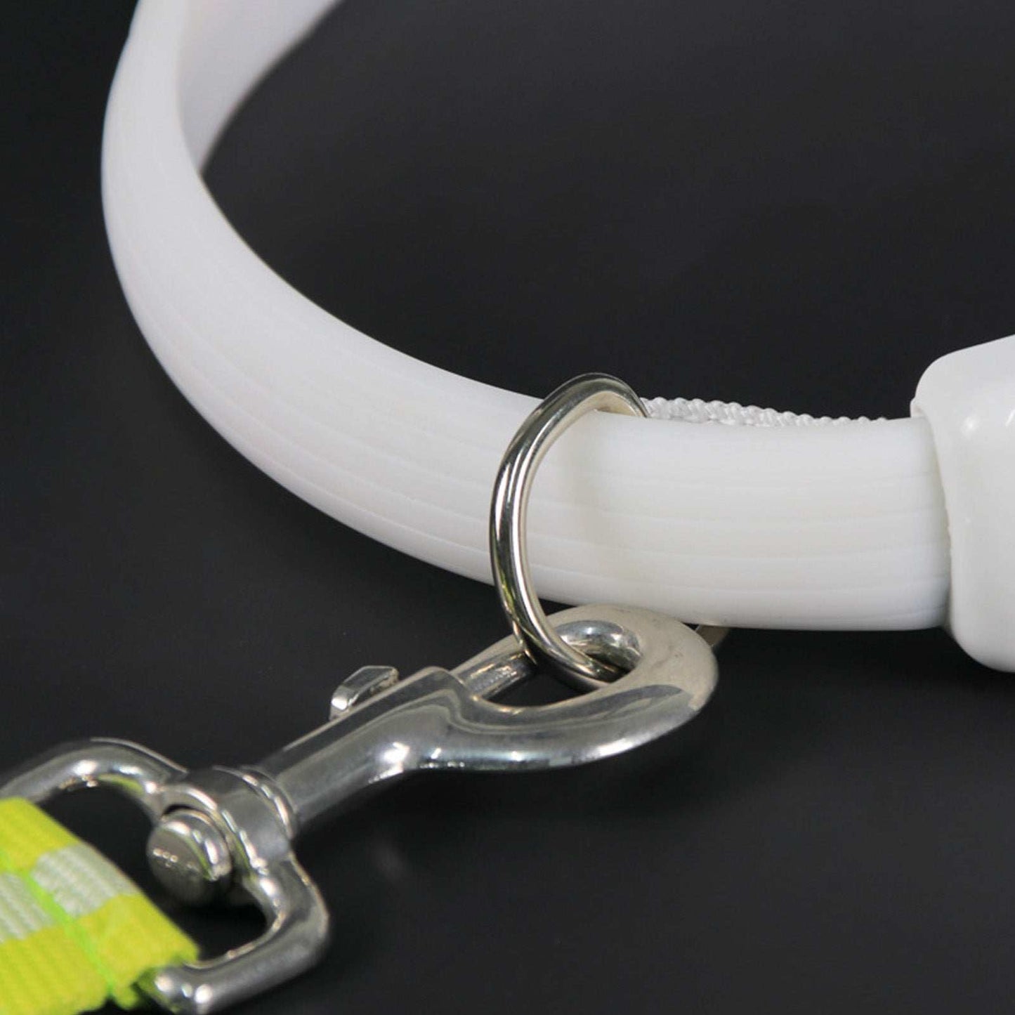 Adjustable Night Use LED Lighted Dog Collar - Purrfect Pet Haven