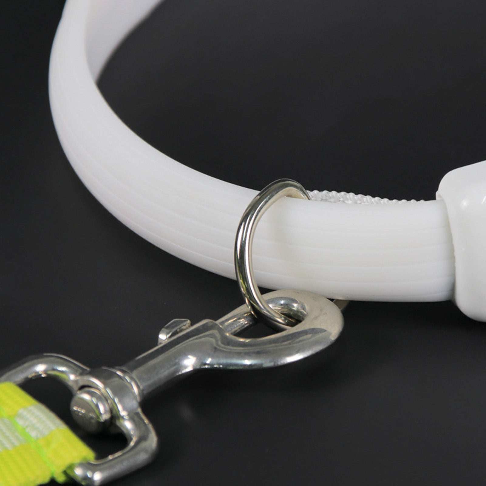 Adjustable Night Use LED Lighted Dog Collar - Purrfect Pet Haven