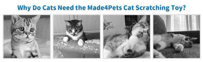 Indoor Cat Soft Scratching Board And Interactive Ball Track Toy Cat Rest And Grooming Supplies - Purrfect Pet Haven