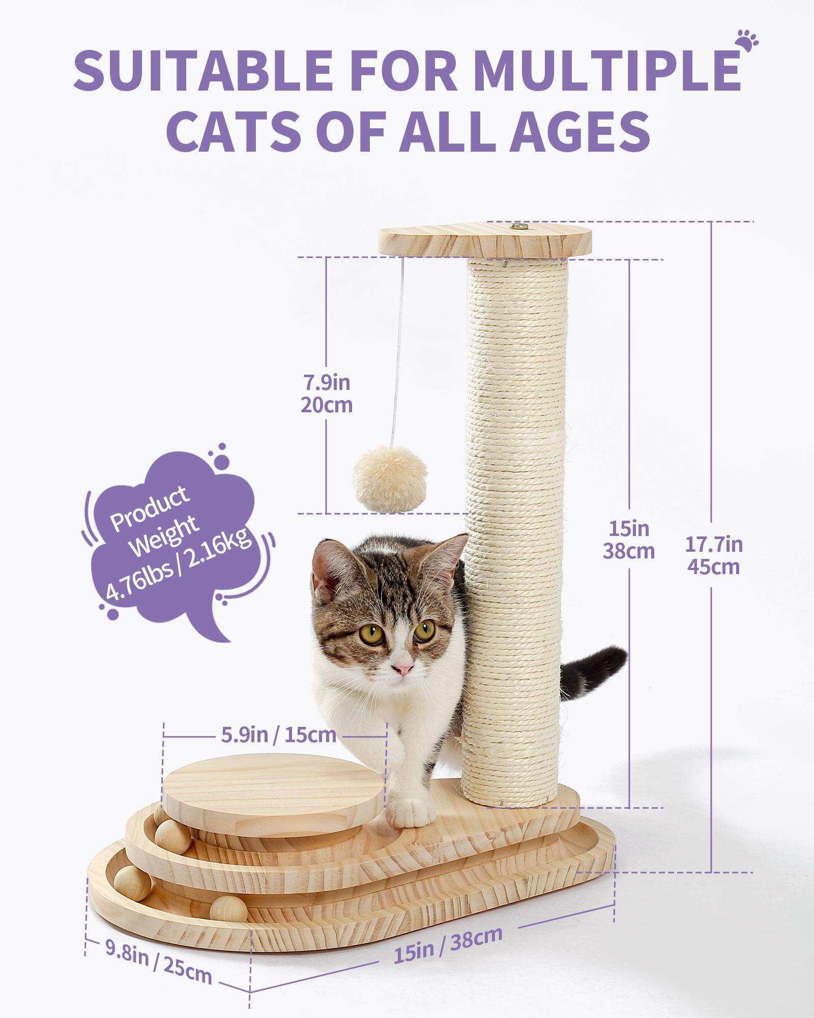 Indoor Cat Soft Scratching Board And Interactive Ball Track Toy Cat Rest And Grooming Supplies - Purrfect Pet Haven