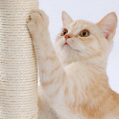 Indoor Cat Soft Scratching Board And Interactive Ball Track Toy Cat Rest And Grooming Supplies - Purrfect Pet Haven