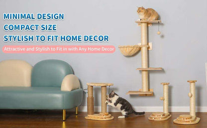 Indoor Cat Soft Scratching Board And Interactive Ball Track Toy Cat Rest And Grooming Supplies - Purrfect Pet Haven