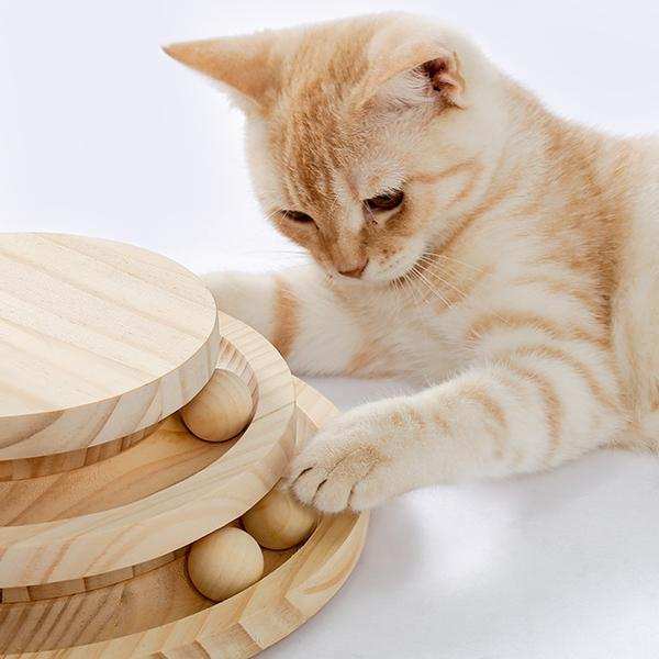 Indoor Cat Soft Scratching Board And Interactive Ball Track Toy Cat Rest And Grooming Supplies - Purrfect Pet Haven