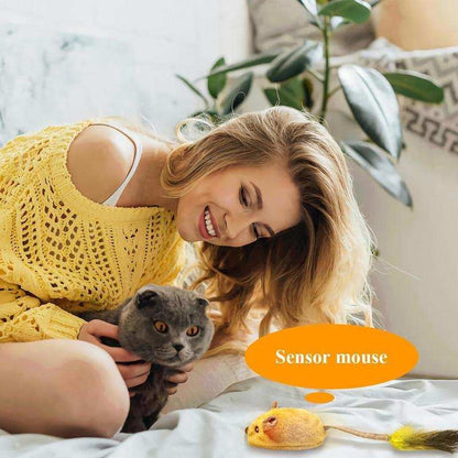 Interactive Rechargeable Mouse Cat Toy with LED Lights - Purrfect Pet Haven