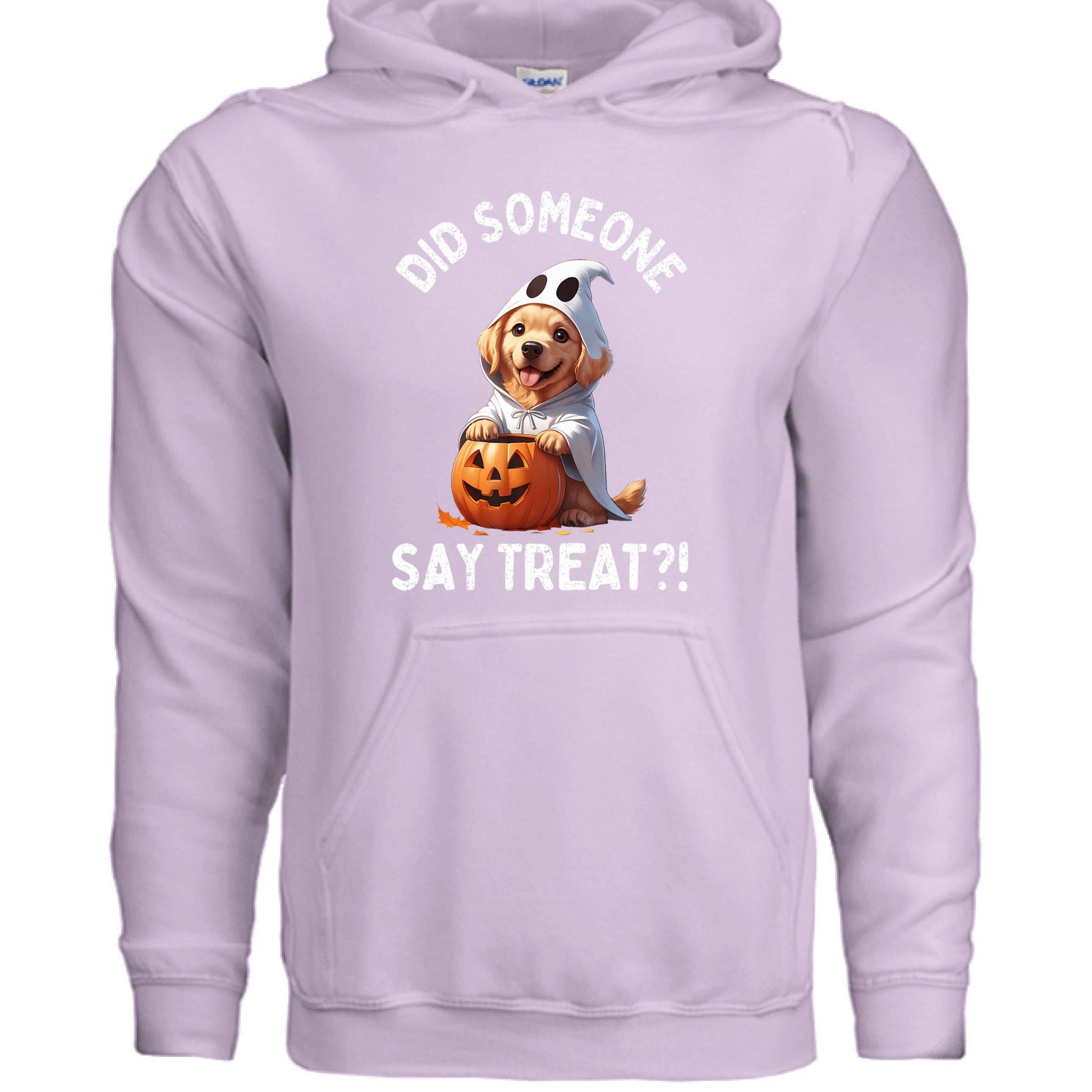Did Someone Say Treats Hoodie Sweatshirt - Funny Dog Parent Pet Lover Hoodie - Purrfect Pet Haven