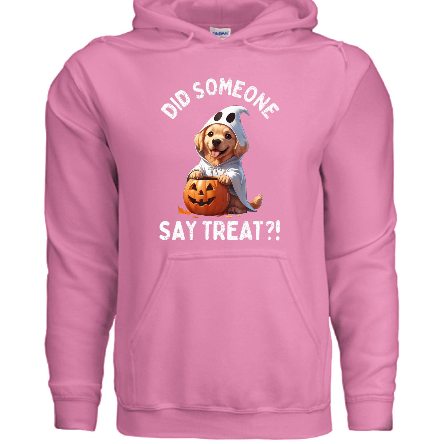 Did Someone Say Treats Hoodie Sweatshirt - Funny Dog Parent Pet Lover Hoodie - Purrfect Pet Haven
