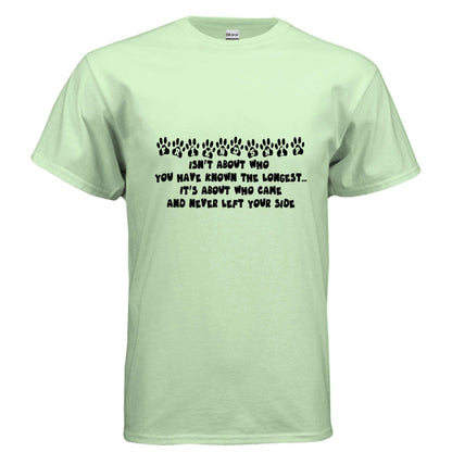 Pet Friendship T-Shirt - Celebrate Bonds with Dogs & Cats - Purrfect Pet Haven