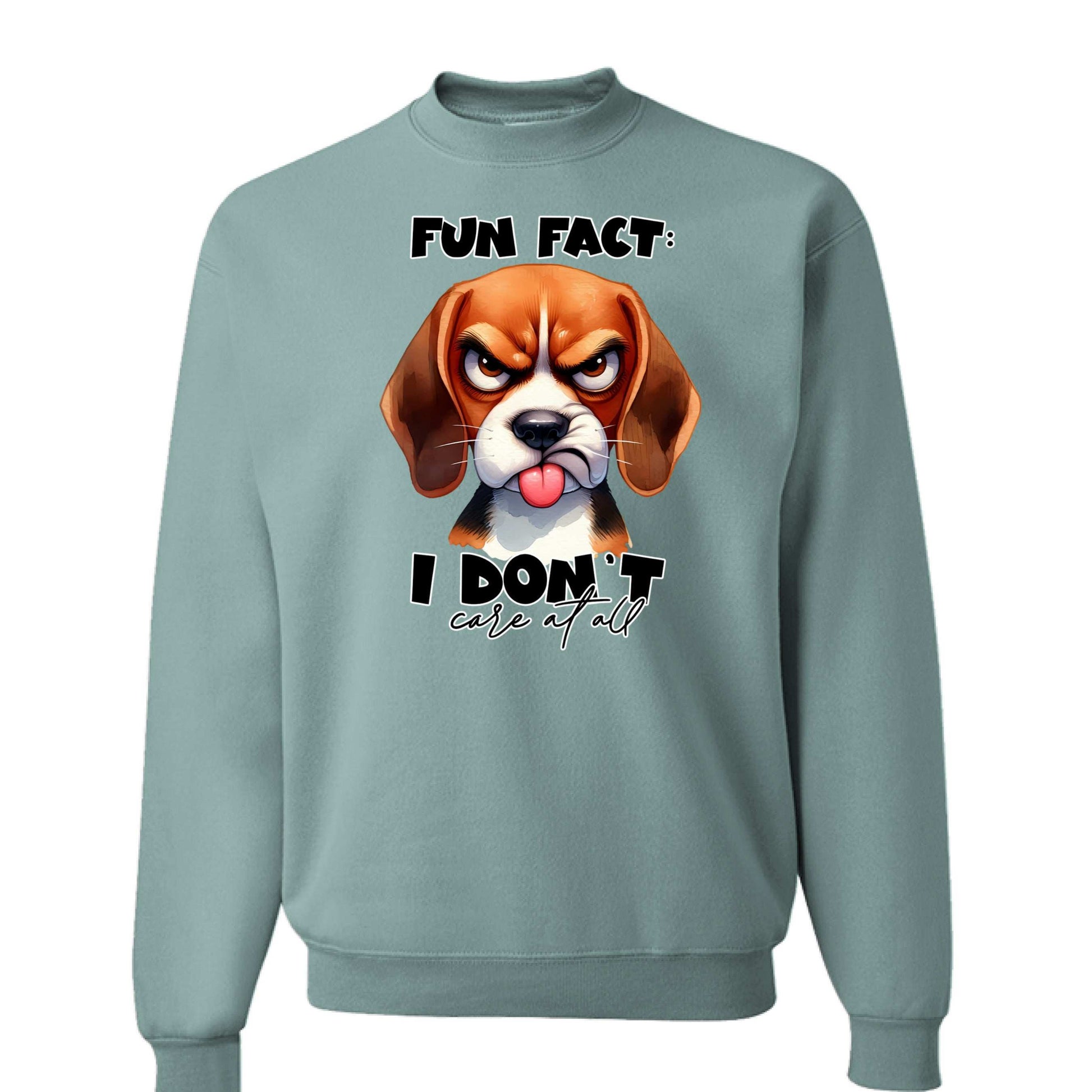 Fun Fact Don't Care Crewneck - Funny Sarcastic Sweatshirt - Purrfect Pet Haven