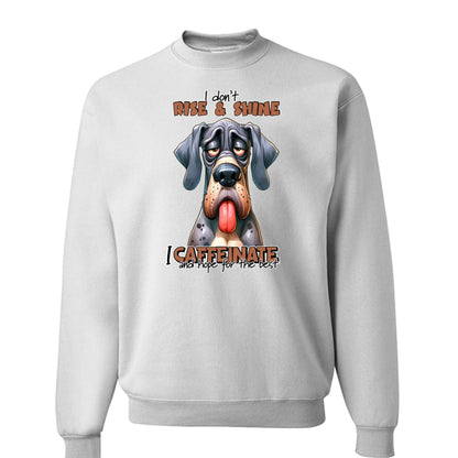 Rise n Shine Crewneck - Cozy Morning Sweatshirt - Purrfect Pet Haven