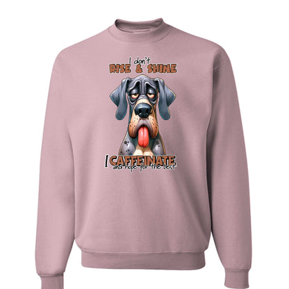 Rise n Shine Crewneck - Cozy Morning Sweatshirt - Purrfect Pet Haven