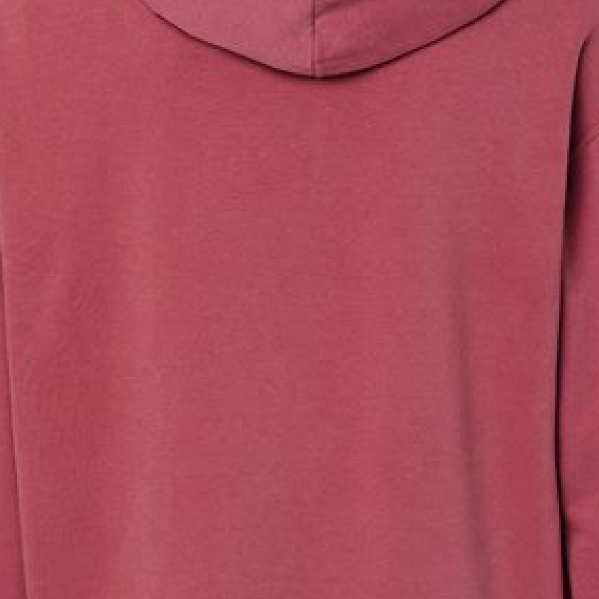 Comfort Colors Whimsy Ornament Pup Hoodie - Purrfect Pet Haven
