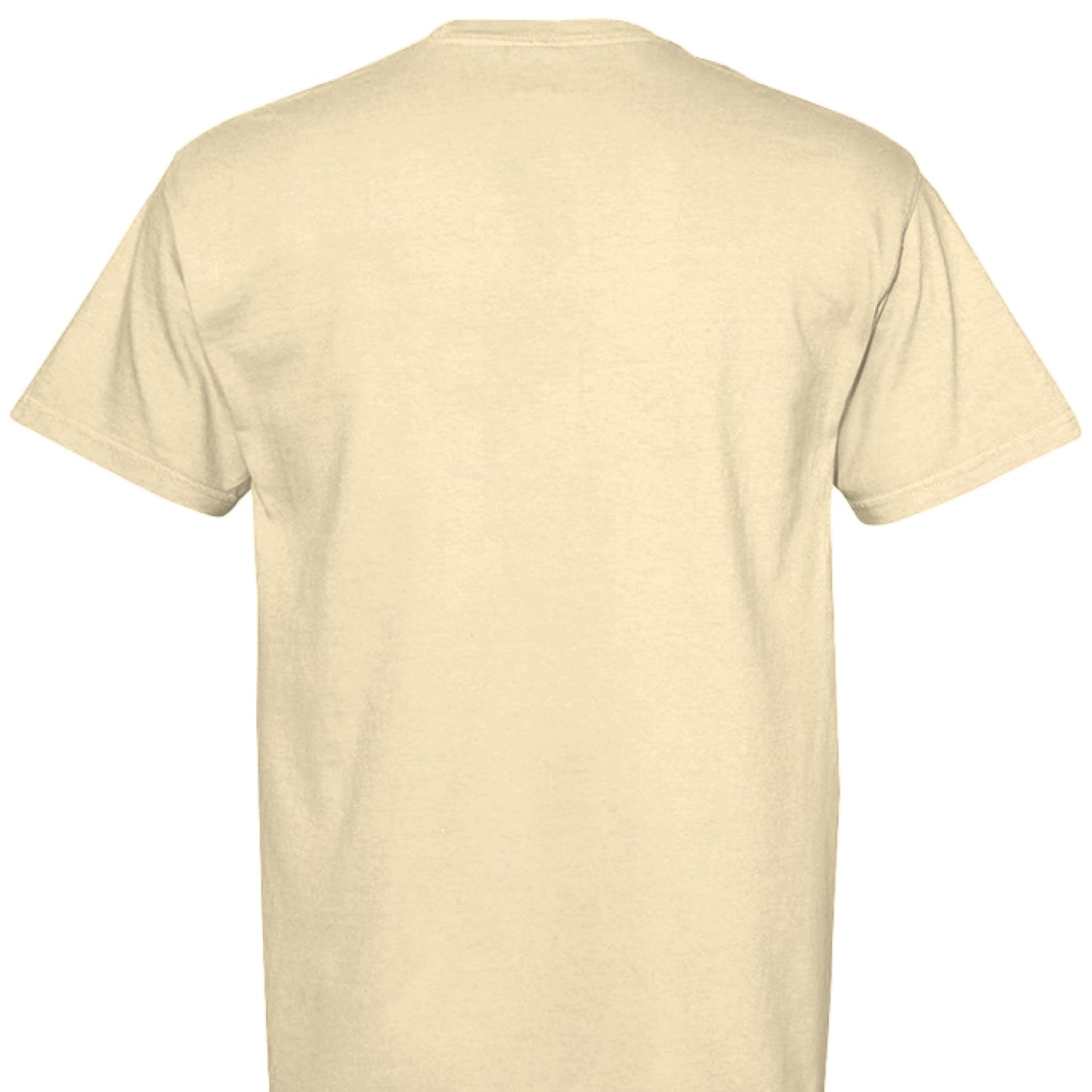 Cat T-Shirt - Stress Meowt Comfort Colors Tee - Purrfect Pet Haven
