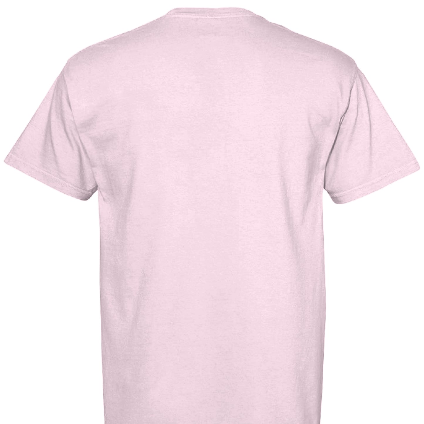 Comfort Colors T-Shirt - Inspirational You Are Fabulous - Purrfect Pet Haven