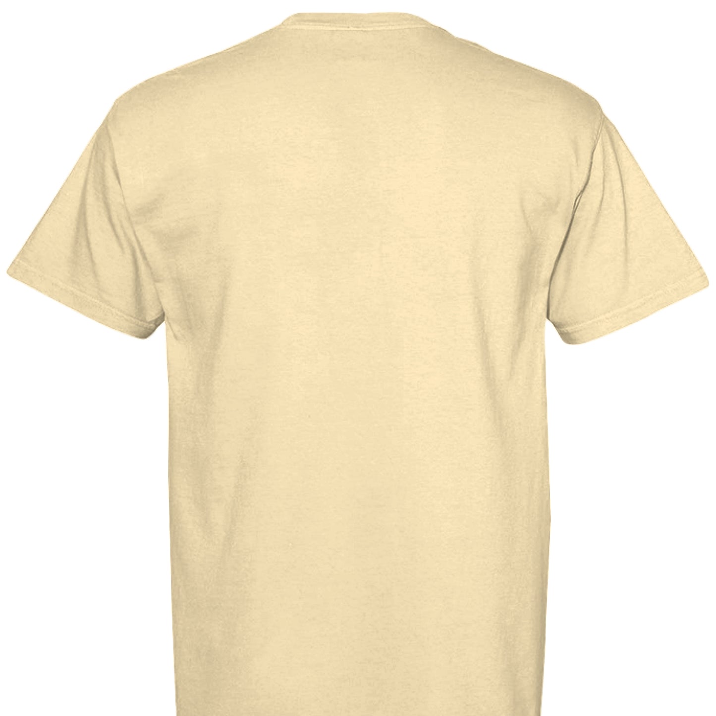 Funny T-Shirt - Overthinking Racoon Comfort Colors Tee - Purrfect Pet Haven