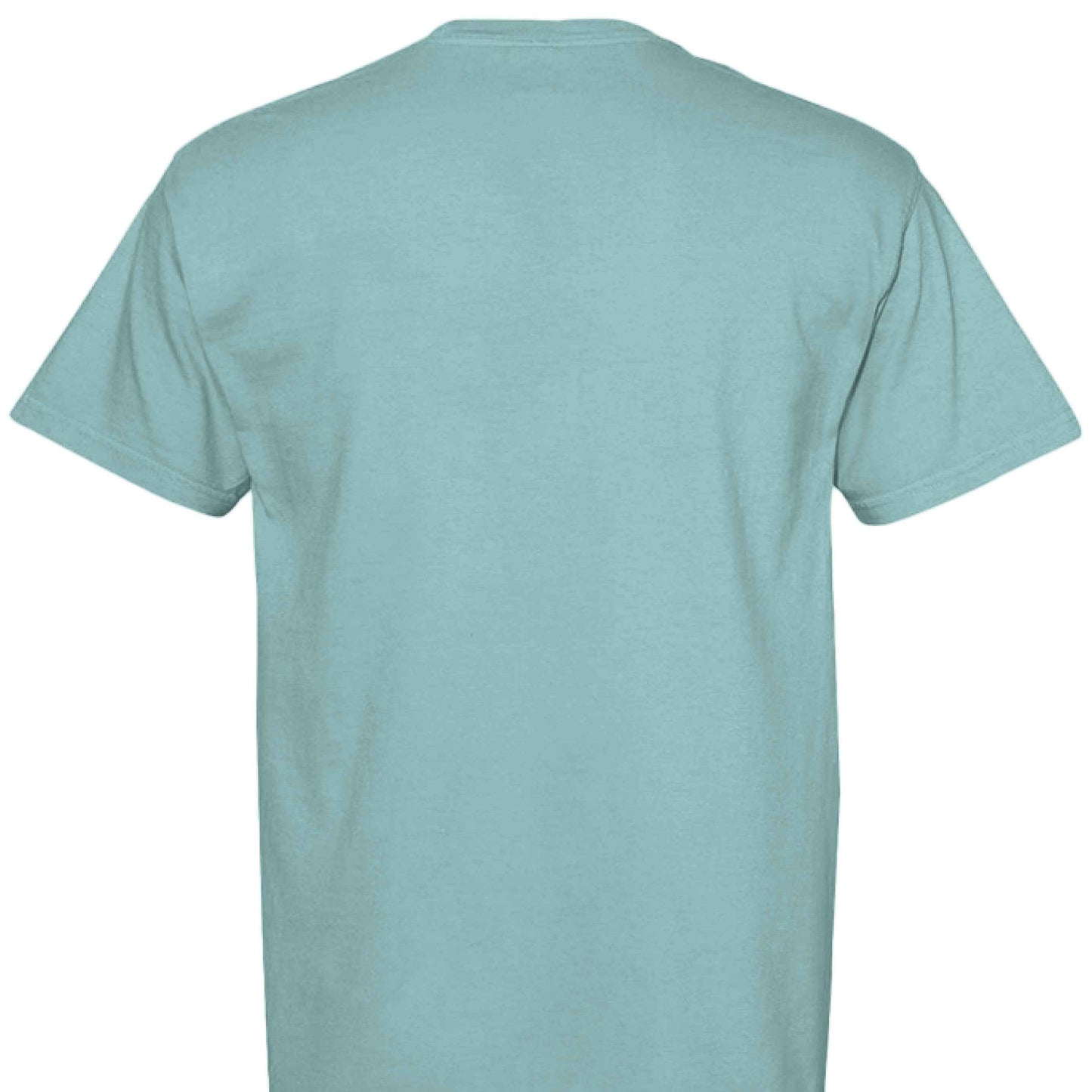 Comfort Colors T-Shirt - Funny Raccoon Saying
