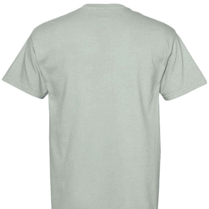 Comfort Colors T-Shirt - Funny Raccoon Saying