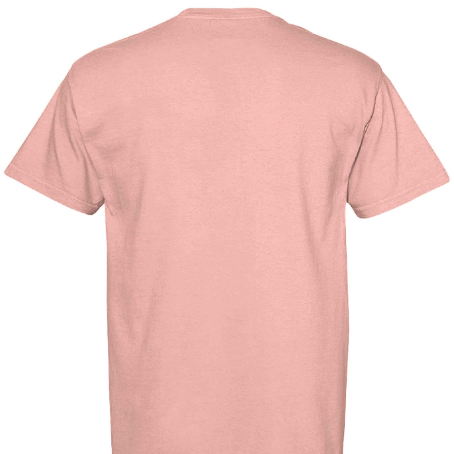 Comfort Colors T-Shirt - Funny Saying "Terrible Idea"