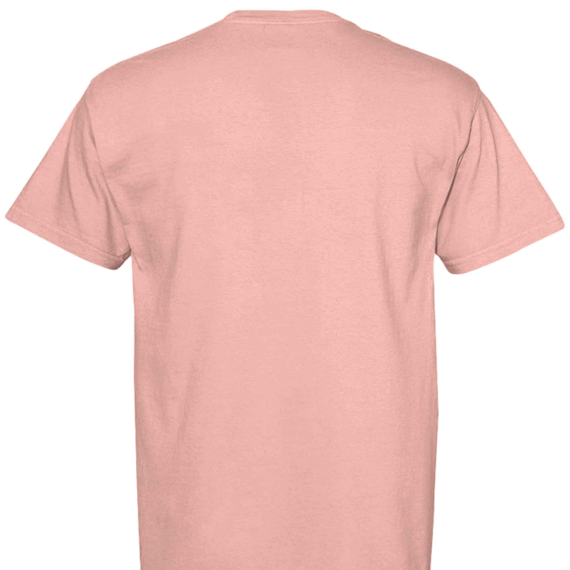 Comfort Colors T-Shirt - Little Girl Feeding Ducks