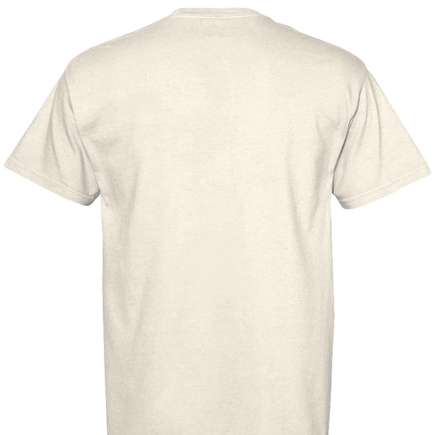 Comfort Colors T-Shirt - Little Girl Feeding Ducks