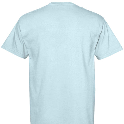 Comfort Colors T-Shirt - Little Girl Feeding Ducks