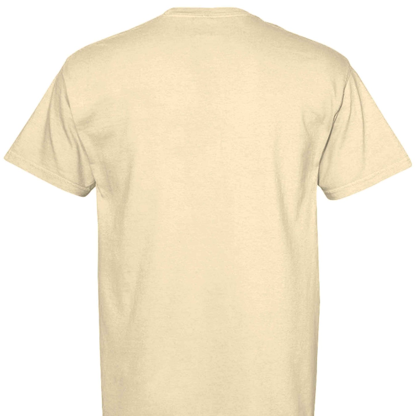 Comfort Colors T-Shirt - Little Girl Feeding Ducks