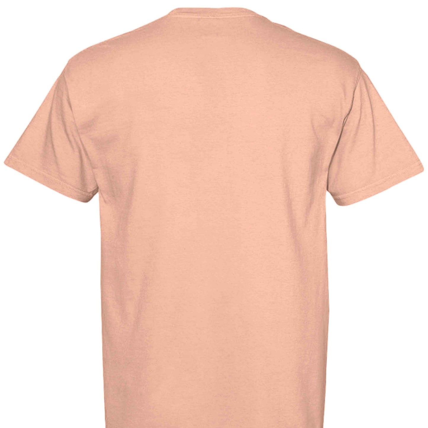 Comfort Colors T-Shirt - Little Girl Feeding Ducks