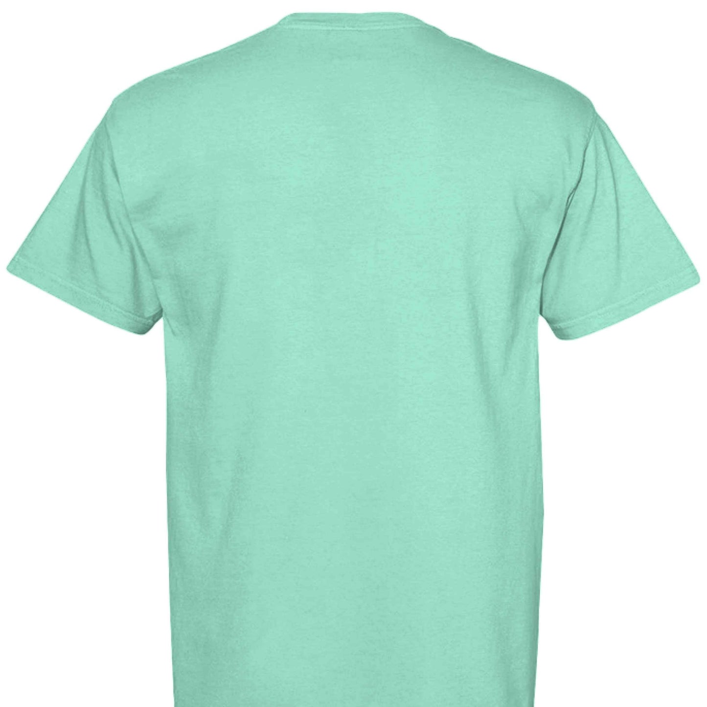 Comfort Colors T-Shirt - Little Girl Feeding Ducks